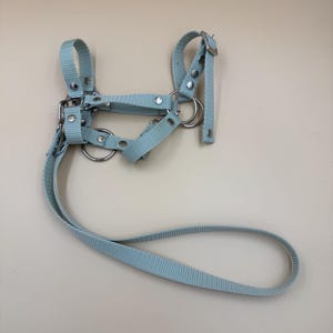 Realistic fully adjustable halter with reins for an A3 / A4 hobby horse. Salvia.