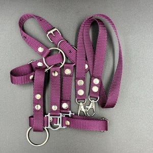 Realistic fully adjustable halter with reins for an A3 / A4 hobby horse. Plum.