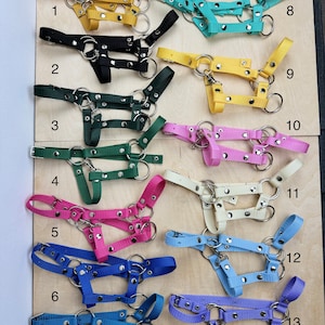 Adjustable halter for an A3 / A4 Hobby Horse of your color choice