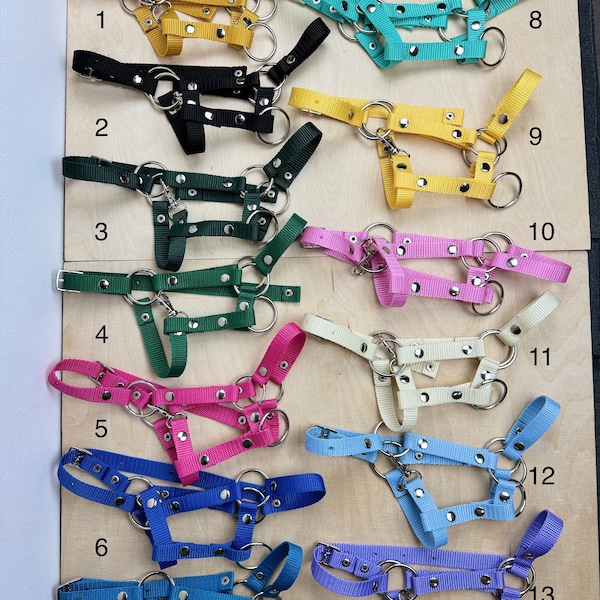 Adjustable halter for an A3 / A4 Hobby Horse of your color choice