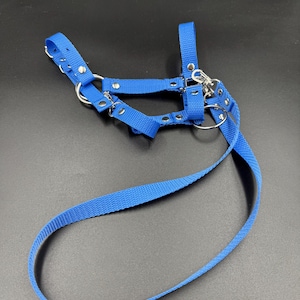 Realistic fully adjustable halter with reins for an A3 / A4 hobby horse. Sky blue.