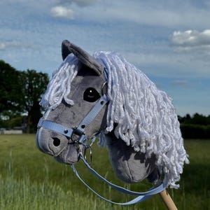 Hobby Horse A4 or A3 with detachable stick. Dark gray with white mane.