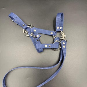 Realistic fully adjustable halter with reins for an A3 / A4 hobby horse. Navy blue.