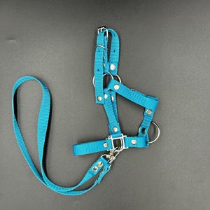 Realistic fully adjustable halter with reins for an A3 / A4 hobby horse. Ocean blue.