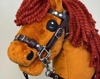 Caballo de juguete para bebé con palo desmontable. A5 Zanahoria.