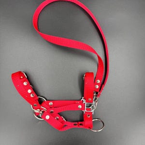 Realistic fully adjustable halter with reins for an A3 / A4 hobby horse. Red.