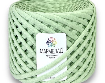 Crochet t-shirt yarn, basket yarn, trapillo yarn for carpets, yarn for bags, spaghetti yarn, textile yarn for puff, color green tea 080
