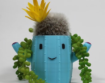 Cactus Succulent Planter Pot