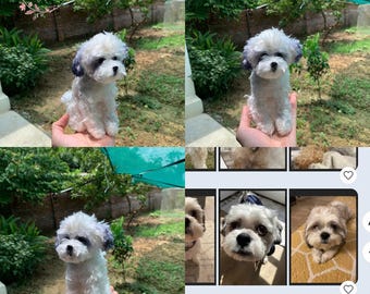 Custom Dog Plush, Custom Stuffed Dog, Custom Crochet Dog, Custom Stuffed Animal, Personalized Pet Gift, Pet Memorial, Pet Stuffed Anima