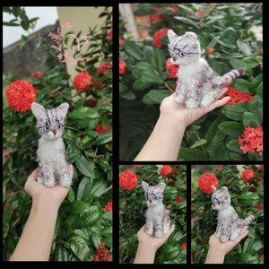 Peluche chat personnalisée, chat en peluche personnalisé, chat au crochet personnalisé, peluche personnalisée, cadeau personnalisé pour animal de compagnie, souvenir d'animal de compagnie, anima en peluche pour animal de compagnie
