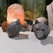 see more listings in the orgonites section