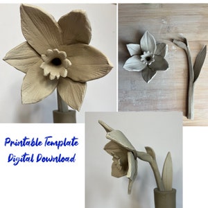 Clay Daffodil template | Ceramic Daffodil Template | Pottery Daffodil Pattern | Slab Built Daffodil | Slab Built Flower Template