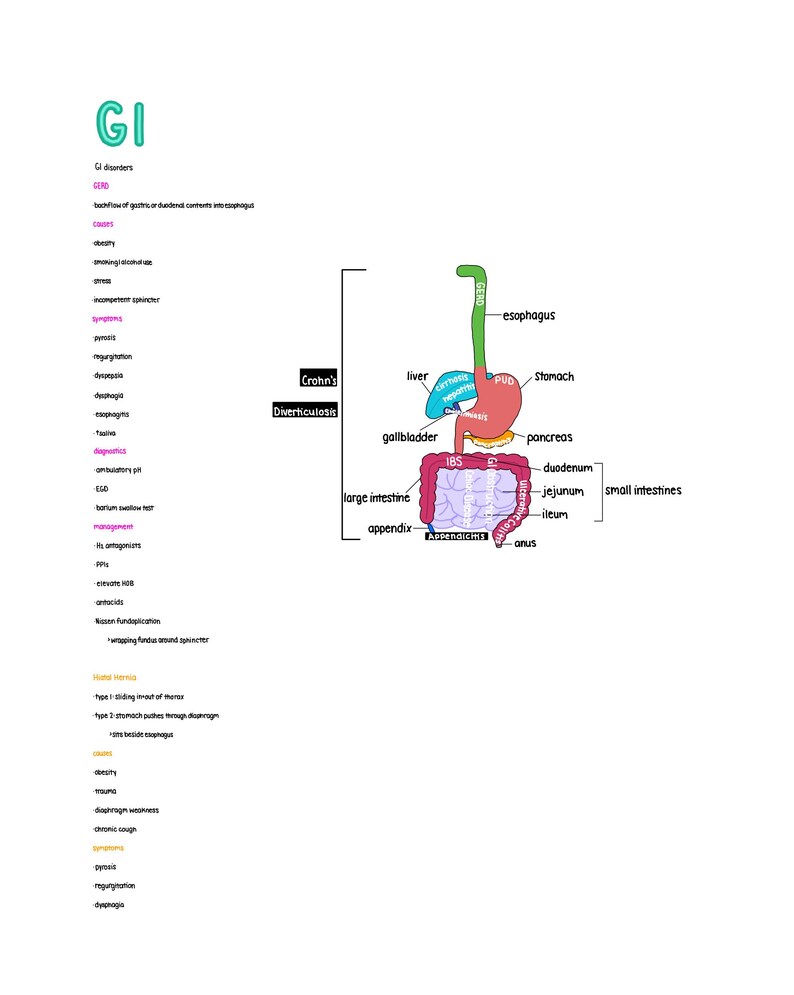 May include: Anatomy diagram of the human digestive system, including the esophagus, stomach, intestines, liver, and gallbladder. Labeled with medical terms like "Crohn's" and "Diverticulosis". The diagram is colorful, with each organ in a different color.