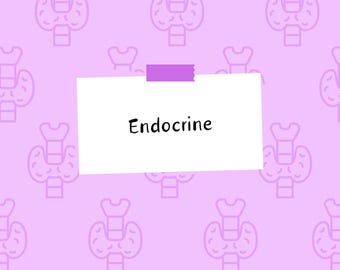 Endocrine Study Guide