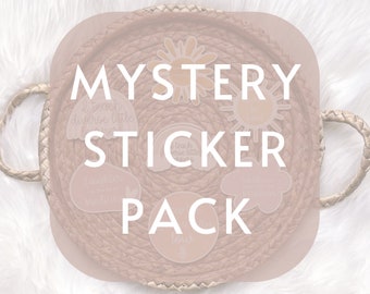 Mystery Sticker Pack | Vinyl Stickers, Teacher Sticker, Teacher Gifts, Teacher Appreciation Gift, Sticker Surprise, Sticker Bundle