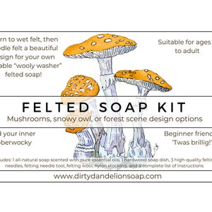 Mushroom, Owl, or Forest Scene Felted Soap Kit (Learn to wet felt, then needle felt, a hand-crafted, all-natural soap!)