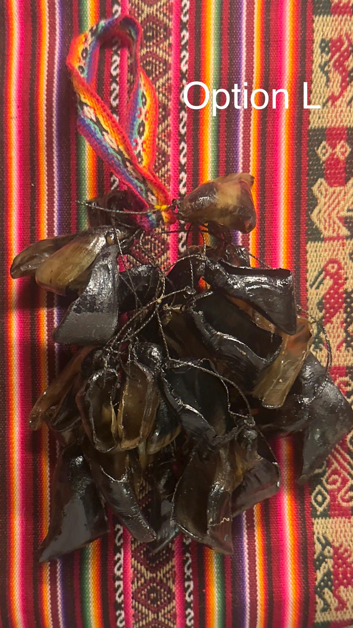 Chajchas: Peruvian Percussion Instruments Used by Healers and Shamans ...
