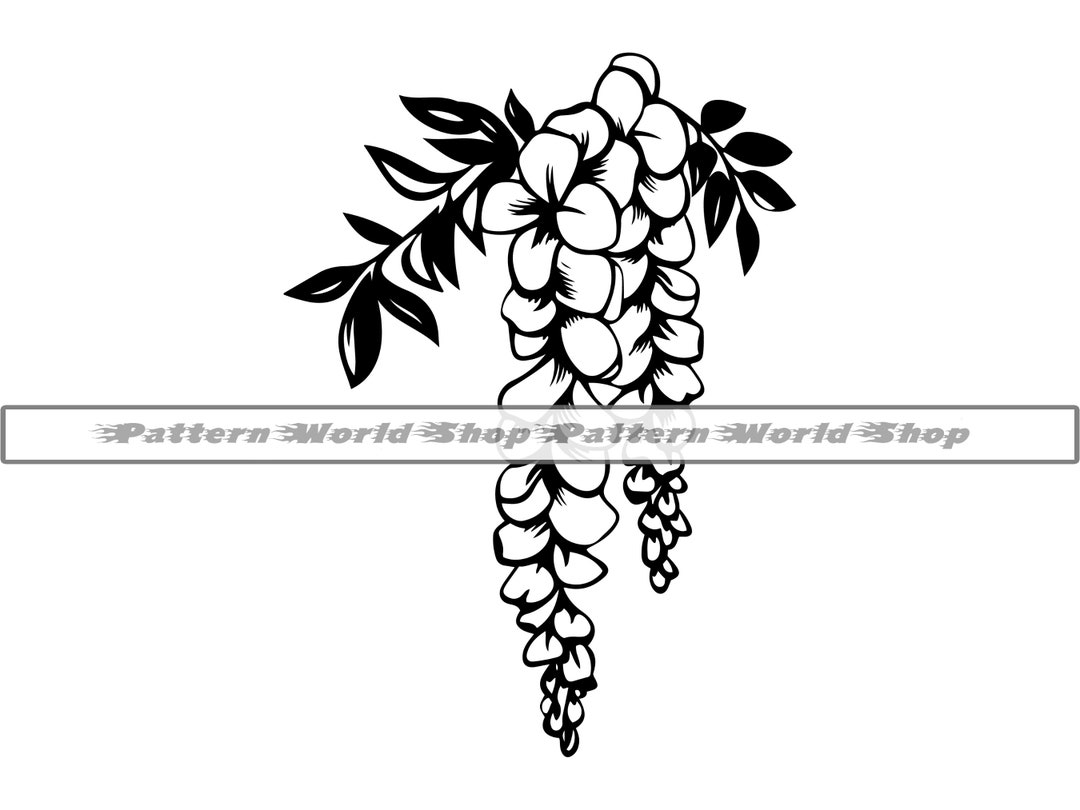Wisteria SVG, Wisteria Flower SVG, Wisteria Floral SVG, Wisteria