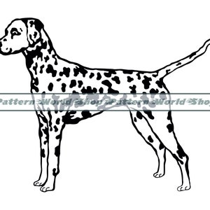 Dalmatian SVG, Dog Svg, Dalmatian Clipart, Dalmatian Files For Cricut, Dalmatian Cut Files For Silhouette, Dxf, Png, Eps, Dalmatian Vector