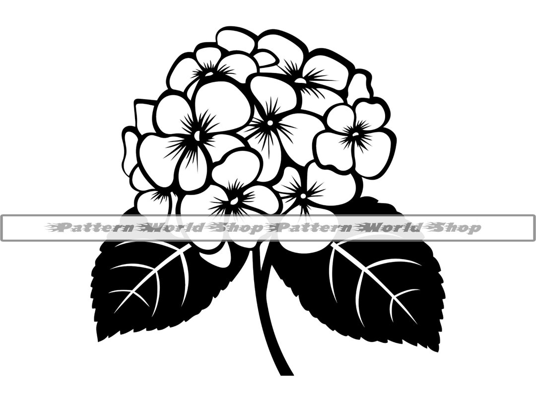 Hydrangea SVG, Hydrangea Flower SVG, Hydrangea Clipart, Hydrangea Files