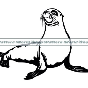 Lion de mer SVG, clipart otarie, fichiers otarie pour Cricut, otarie coupe fichiers pour silhouette, otarie DXF, PNG, Eps, vecteur de l'otarie