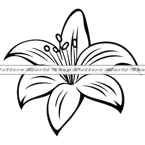 Lily Flower #6 SVG, Lily SVG, Flower SVG, Lily Flower Clipart, Arquivos de lírio para Cricut, Arquivos de corte de lírio para silhueta, Dxf,Png,Eps,Lily Vector