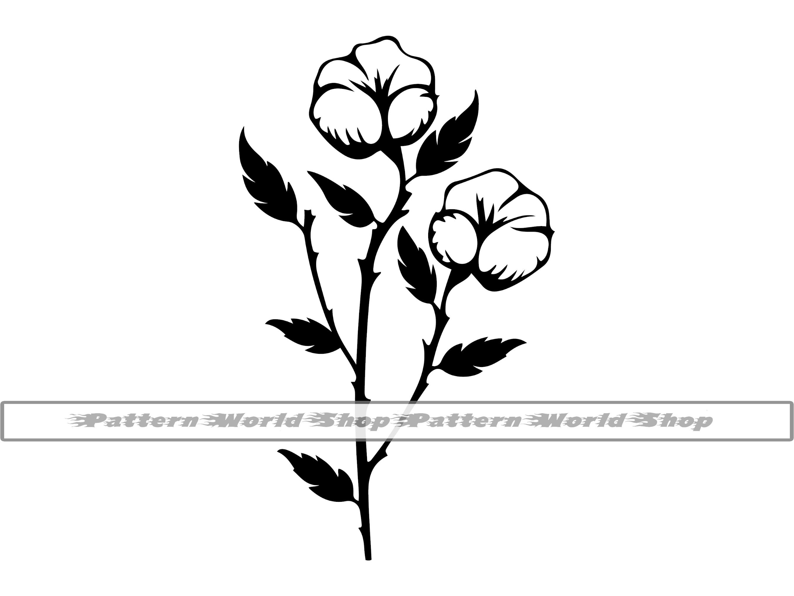 Cotton SVG, Cotton Flower SVG, Cotton Clipart, Cotton Files for Cricut ...
