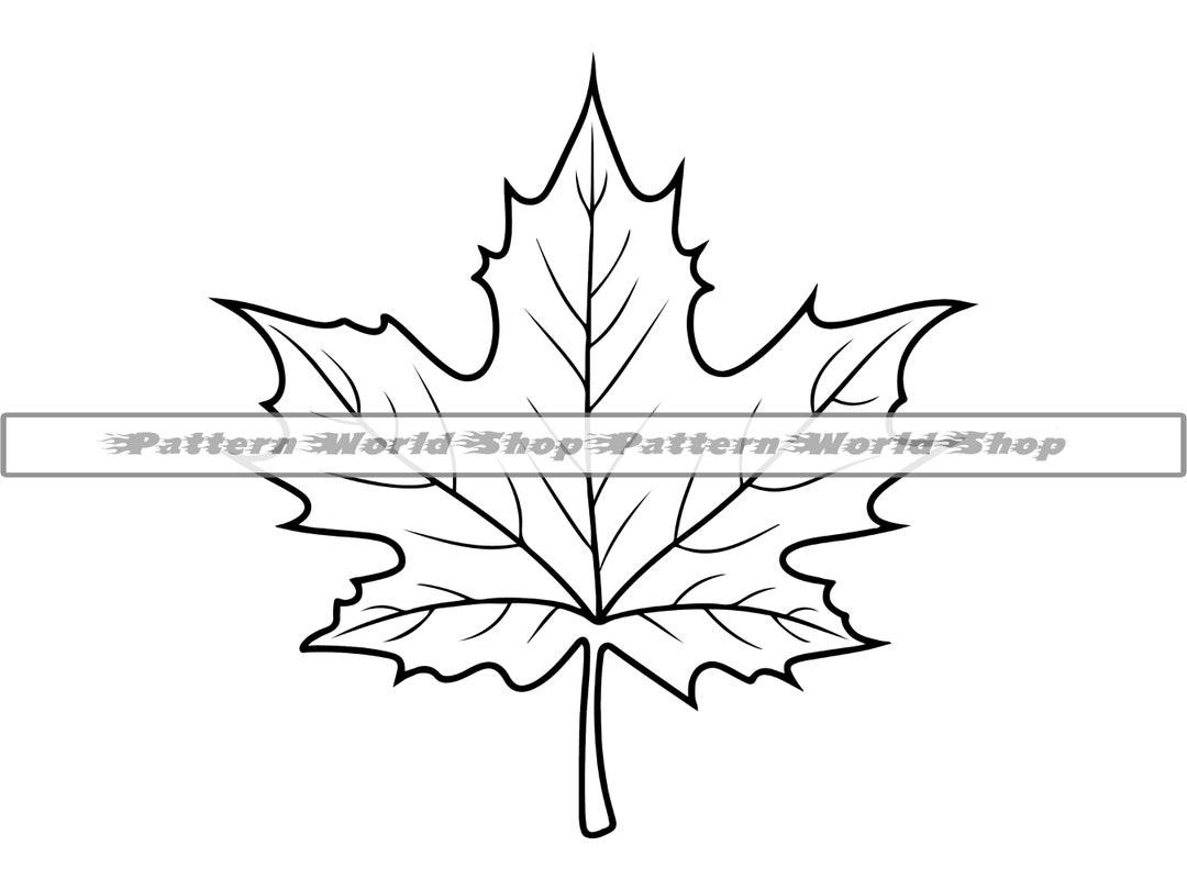 Maple Leaf Outline SVG, Maple Leaf SVG, Fall Leaf SVG, Maple Leaf ...