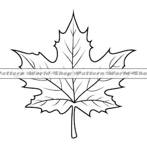 Foglia d'acero contorno SVG, foglia d'acero SVG, foglia autunnale SVG, foglia d'acero clipart, file per Cricut, file di taglio per silhouette, dxf, png, vettore