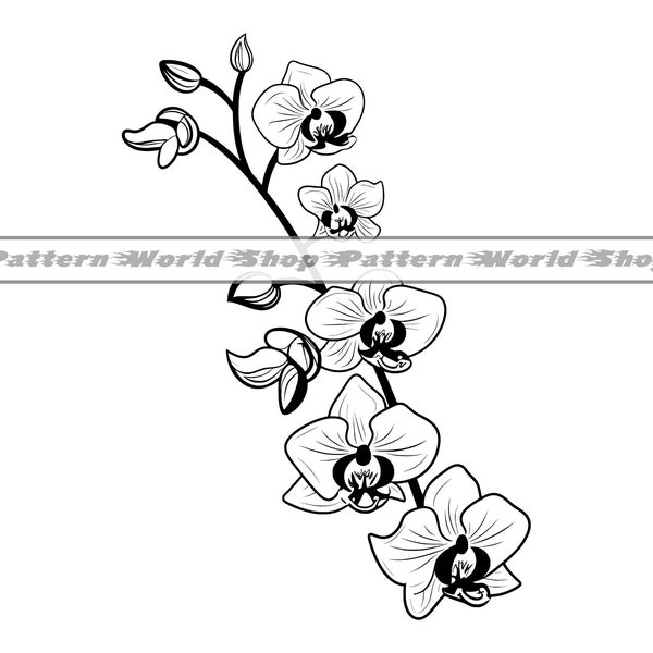 Orchid SVG PNG DXF, Orchid Flower Svg, Orchid Branch Svg, Orchid Clipart, Orchid Files For Cricut, Cut Files For Silhouette, Orchid Vector