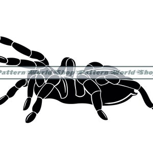Tarantula #2 SVG, Spider Svg, Tarantula Clipart, Tarantula Files for Cricut, Tarantula Cut Files For Silhouette, Dxf, Png, Tarantula Vector