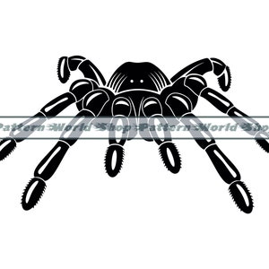 Tarantula SVG, Spider Svg, Tarantula Clipart, Tarantula Files for Cricut, Tarantula Cut Files For Silhouette, Dxf, Png,Eps, Tarantula Vector