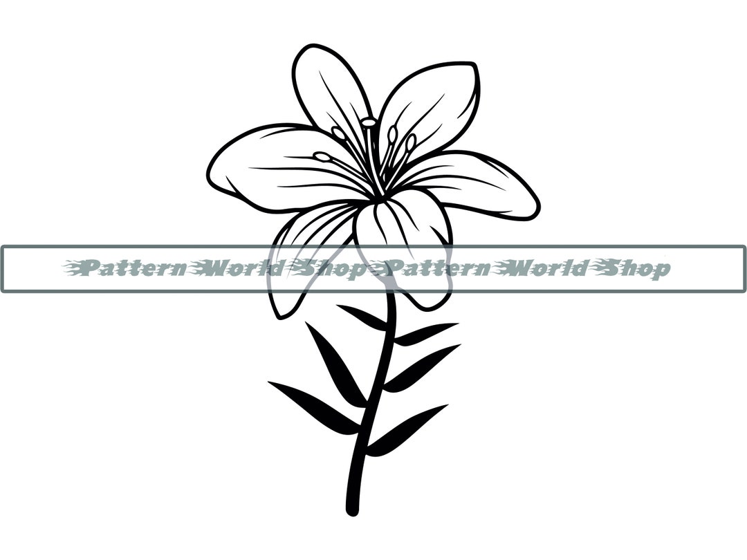 Lily Flower #2 SVG, Lily SVG, Flower SVG, Lily Flower Clipart, Lily ...