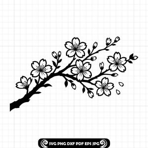 Könnte beinhalten: Schwarz-weiße Illustration eines Kirschblütenzweigs mit Blüten und Knospen. Der Zweig verläuft über das Bild, mit fallenden Blütenblättern. Unten rechts steht der Text "SVG PNG DXF PDF EPS JPG".