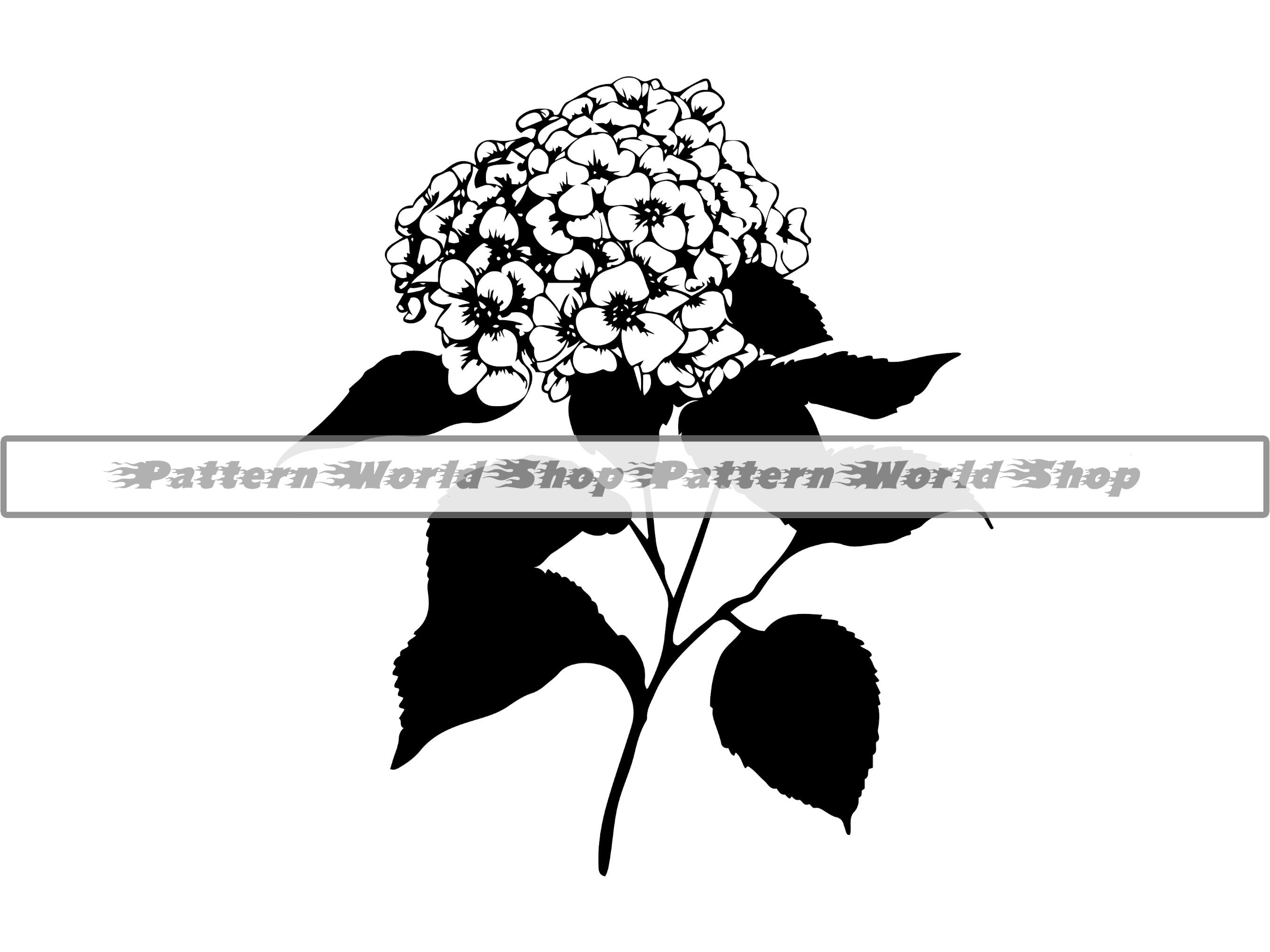 Hydrangea SVG Hydrangea Flower SVG Hydrangea Clipart - Etsy Canada