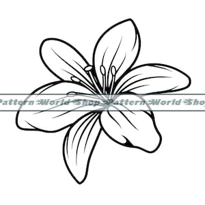 Lily Flower SVG, Lily SVG, Flower SVG, Lily Flower Clipart, Arquivos de lírio para Cricut, Arquivos de corte de lírio para silhueta, Dxf, Png, Eps, Lily Vector