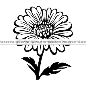Aster Flower SVG, September Birth Flower SVG, Aster SVG, Aster Clipart, Aster Files For Cricut, Cut Files For Silhouette, Dxf, Png, Vector