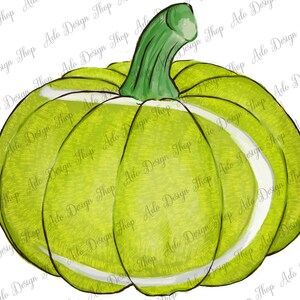 May include: A green and white pumpkin with a textured surface. The pumpkin has a white stripe around the middle and a green stem.