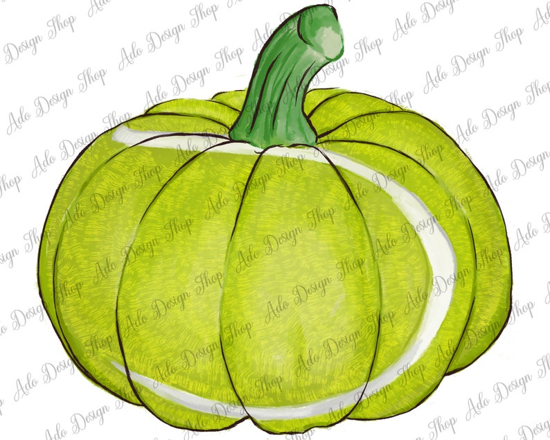 May include: A green and white pumpkin with a textured surface. The pumpkin has a white stripe around the middle and a green stem.