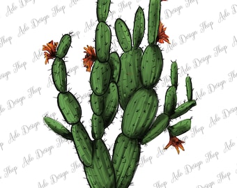 Cactus with Flowers PNG, Cactus Png, Western Cactus Png, Cactus Sublimation Png, Cactus Design,w Sublimation Design,Instant Download