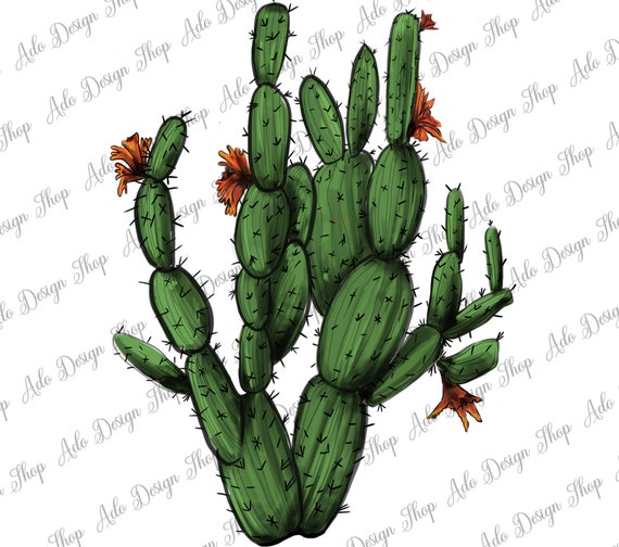 kaktus design Giant Cactus main image 0