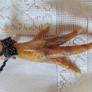 Chicken Foot Protection Hoodoo Charm, Fixed