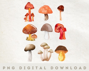 Cottagecore PNG | Goblincore Instant download | Mushroom Sublimation design | Woodland shirt print | Frog sublimation | Fairy png