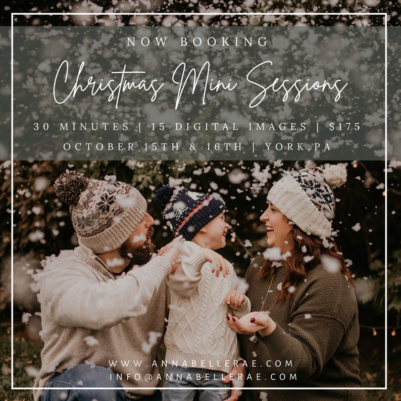Christmas Mini Session Template, CANVA Christmas Minis Template ...