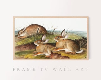 May include: A vintage illustration of three brown rabbits in a grassy field. The rabbits are depicted in a realistic style with detailed fur and whiskers. The background is a soft green and brown, creating a peaceful and natural scene.