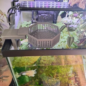 May include: A gray, octagonal aquarium plant holder with a perforated base and vertical side supports. The holder is suspended inside a glass aquarium filled with aquatic plants. A light fixture is above the aquarium.