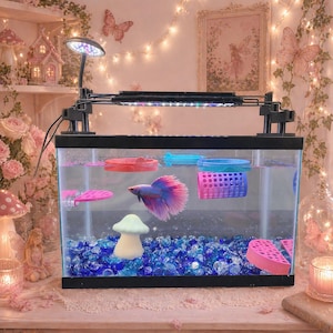 Betta Accessories - Etsy Betta Accessories - Etsy