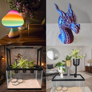 May include: A multi-panel image featuring home decor items. A mushroom-shaped lamp with a rainbow gradient, a dragon head sculpture in blue and red, a terrarium with plants, and a plant stand with potted plants.
