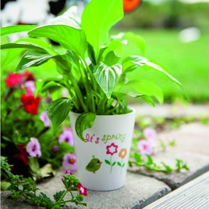 Op de afbeelding: Witte keramische bloempot met een groene plant en de tekst "It's spring" met een kleine vogel en bloemen.