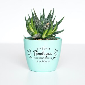 May include: A light blue succulent planter with the text "Thank you for helping me grow" in black lettering.